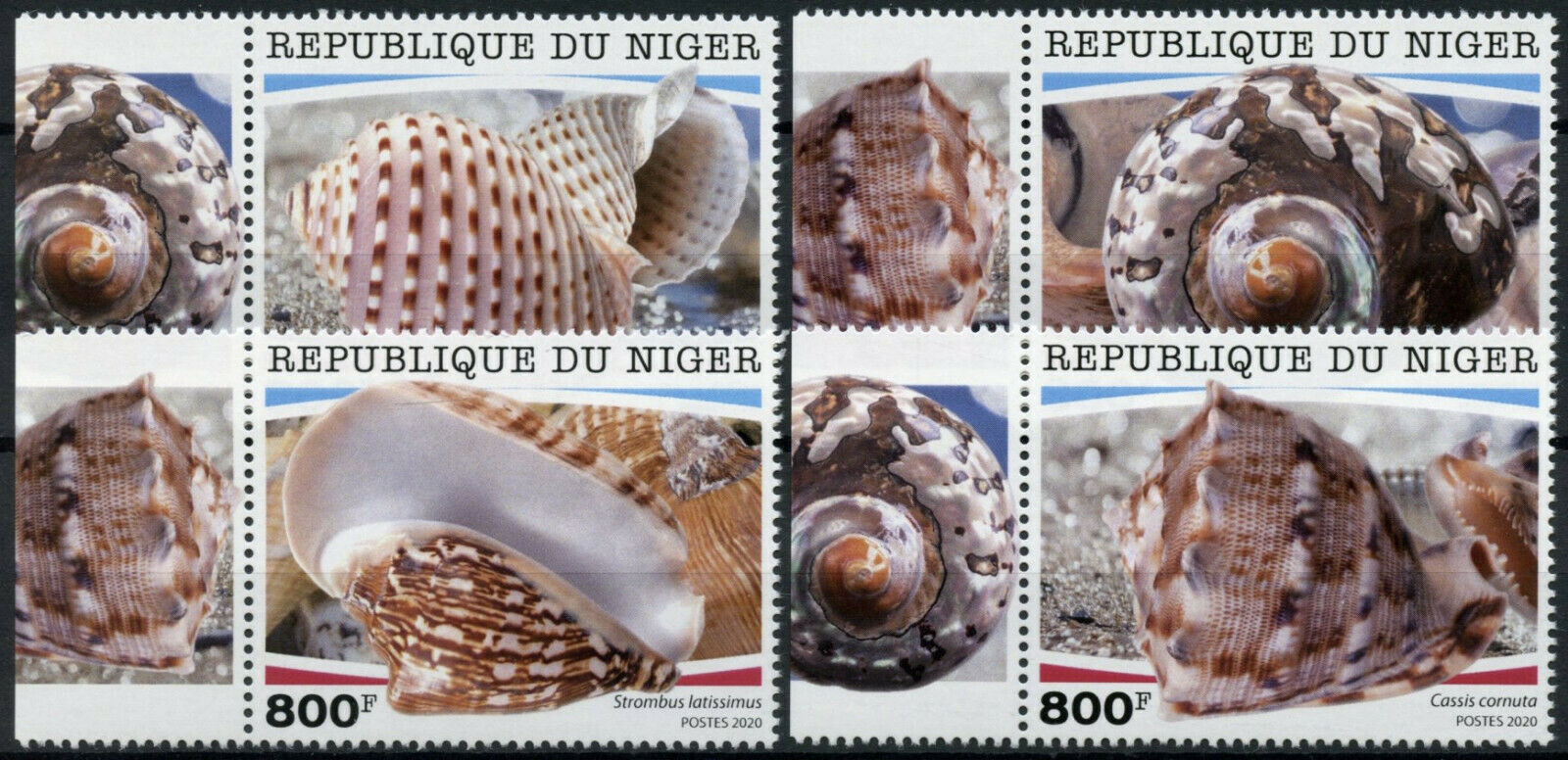 Niger Seashells Stamps 2020 MNH Shells Strombus Turbo Tonna Marine 4v Set