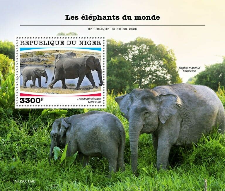 Niger Wild Animals Stamps 2020 MNH Elephants African Elephant Fauna 1v S/S