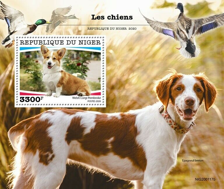 Niger Dogs Stamps 2020 MNH Welsh Corgi Pembroke Brittany Dog Pets 1v S/S