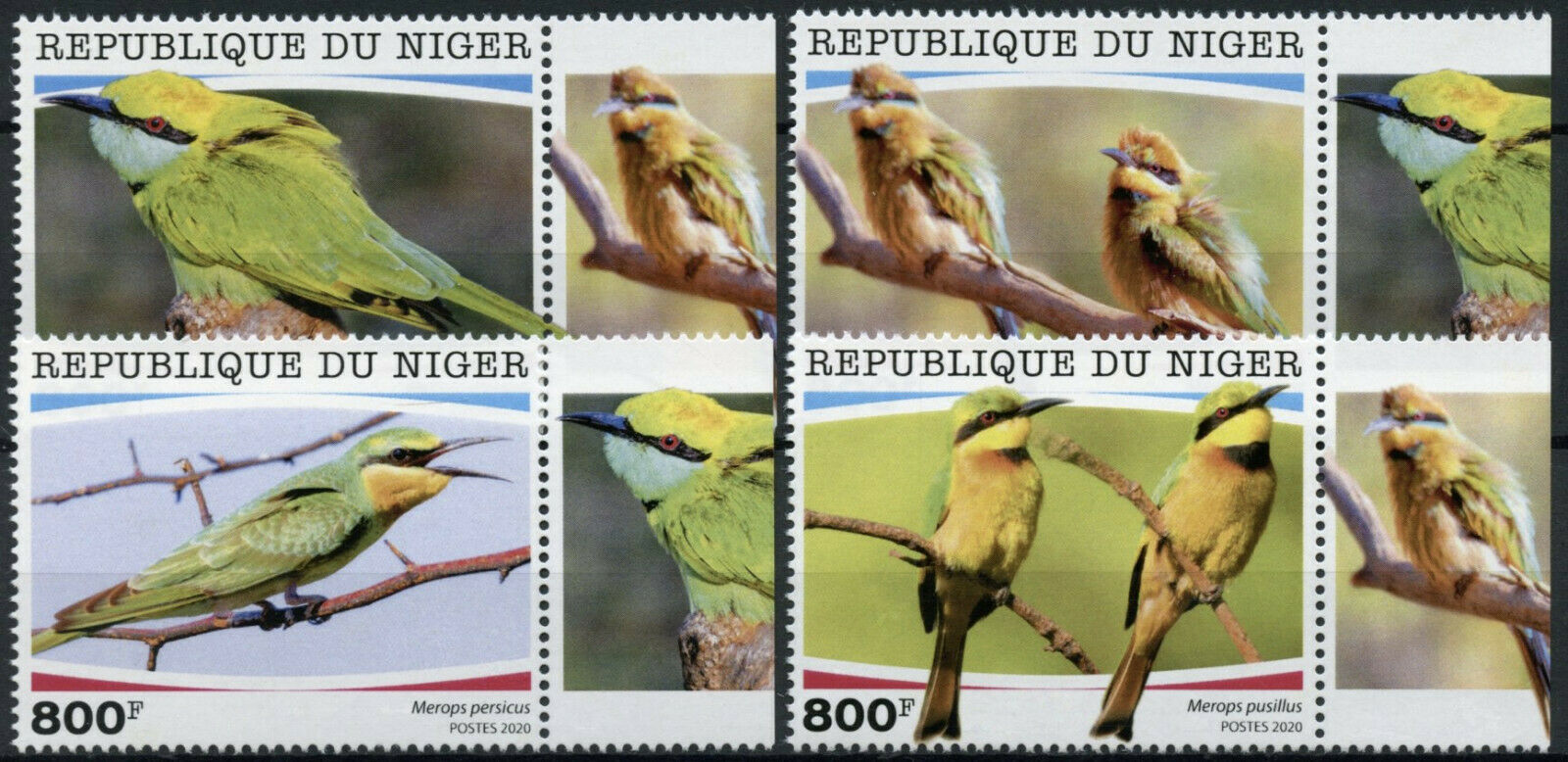 Niger Birds on Stamps 2020 MNH Bee-Eaters Little Rainbow Bee-Eater 4v Set
