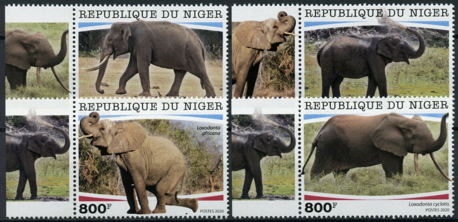 Niger 2020 MNH Wild Animals Stamps Elephants African Elephant Fauna 4v Set