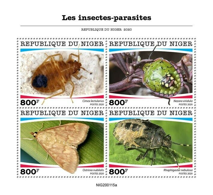 Niger Insects Stamps 2020 MNH Parasites Shieldbugs Stink Bugs Moths 4v M/S