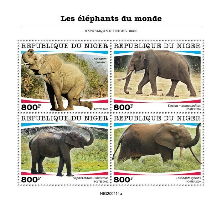 Niger Wild Animals Stamps 2020 MNH Elephants African Elephant Fauna 4v M/S