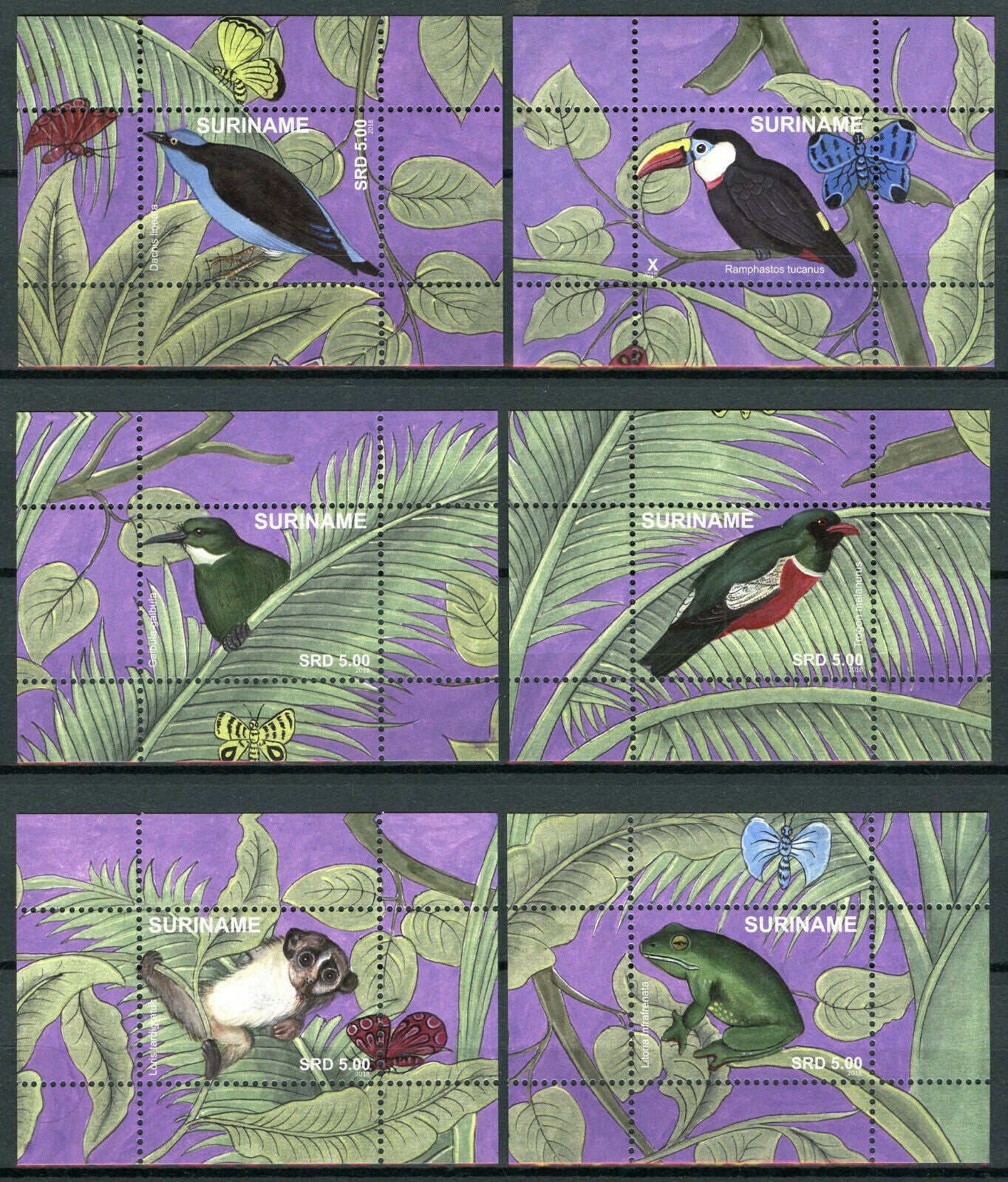 Suriname Nature Stamps 2018 MNH Birds Owls Flowers Butterflies 12x 1v S/S