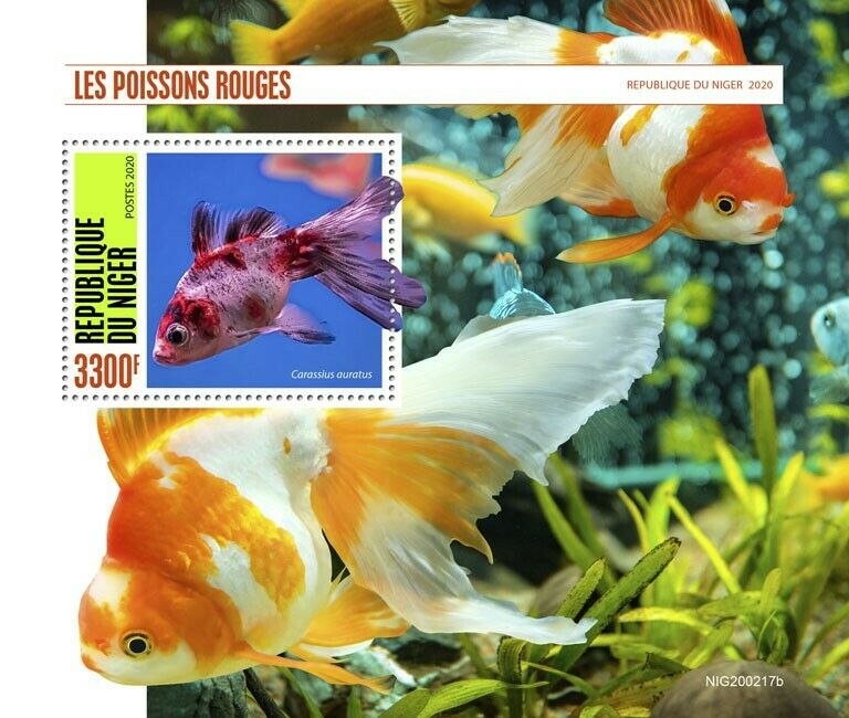 Niger Fish Stamps 2020 MNH Goldfish Fishes Pets Domestic Animals 1v S/S