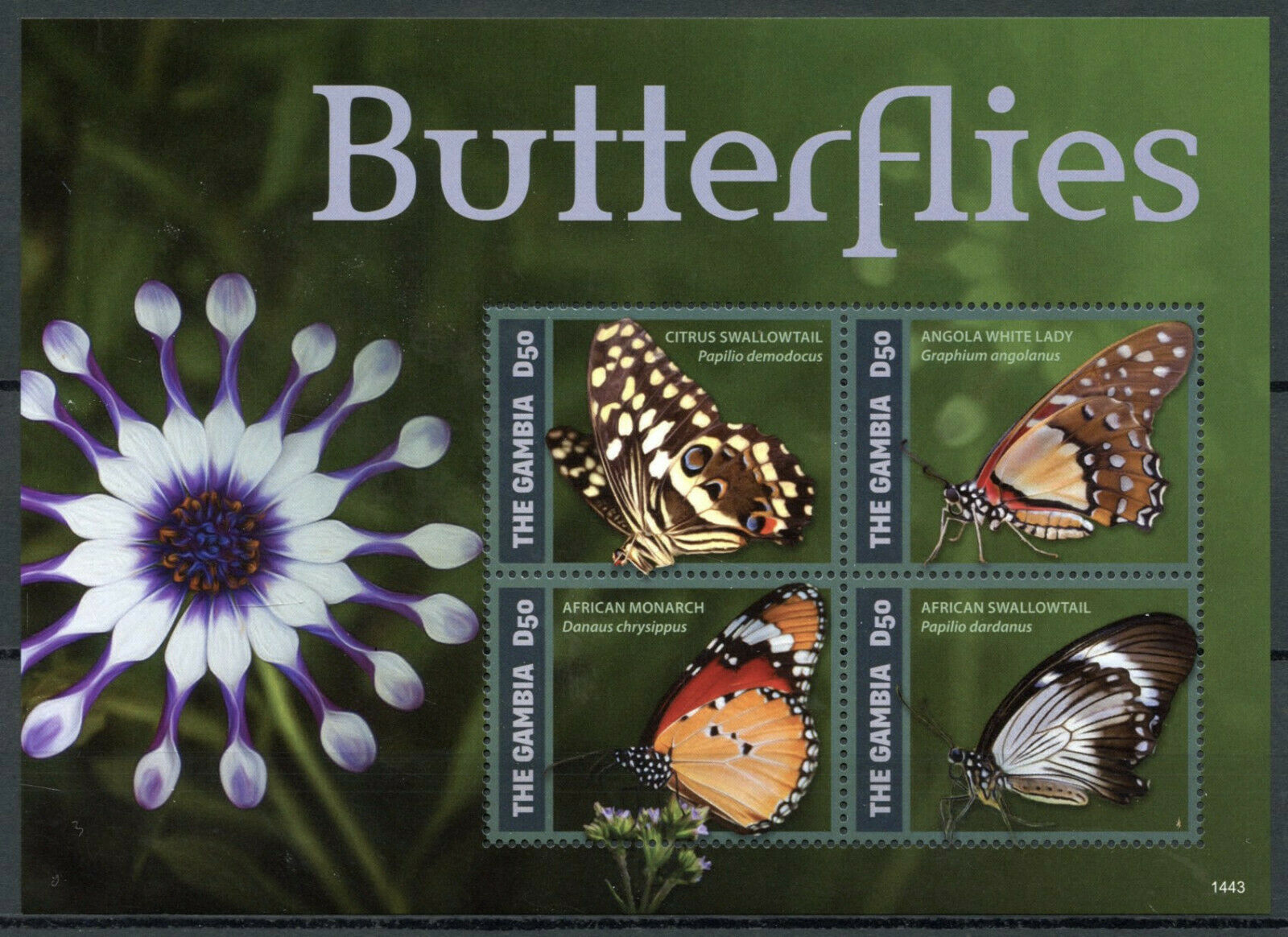 Gambia Butterflies Stamps 2014 MNH Swallowtail Monarch Butterfly 4v M/S II