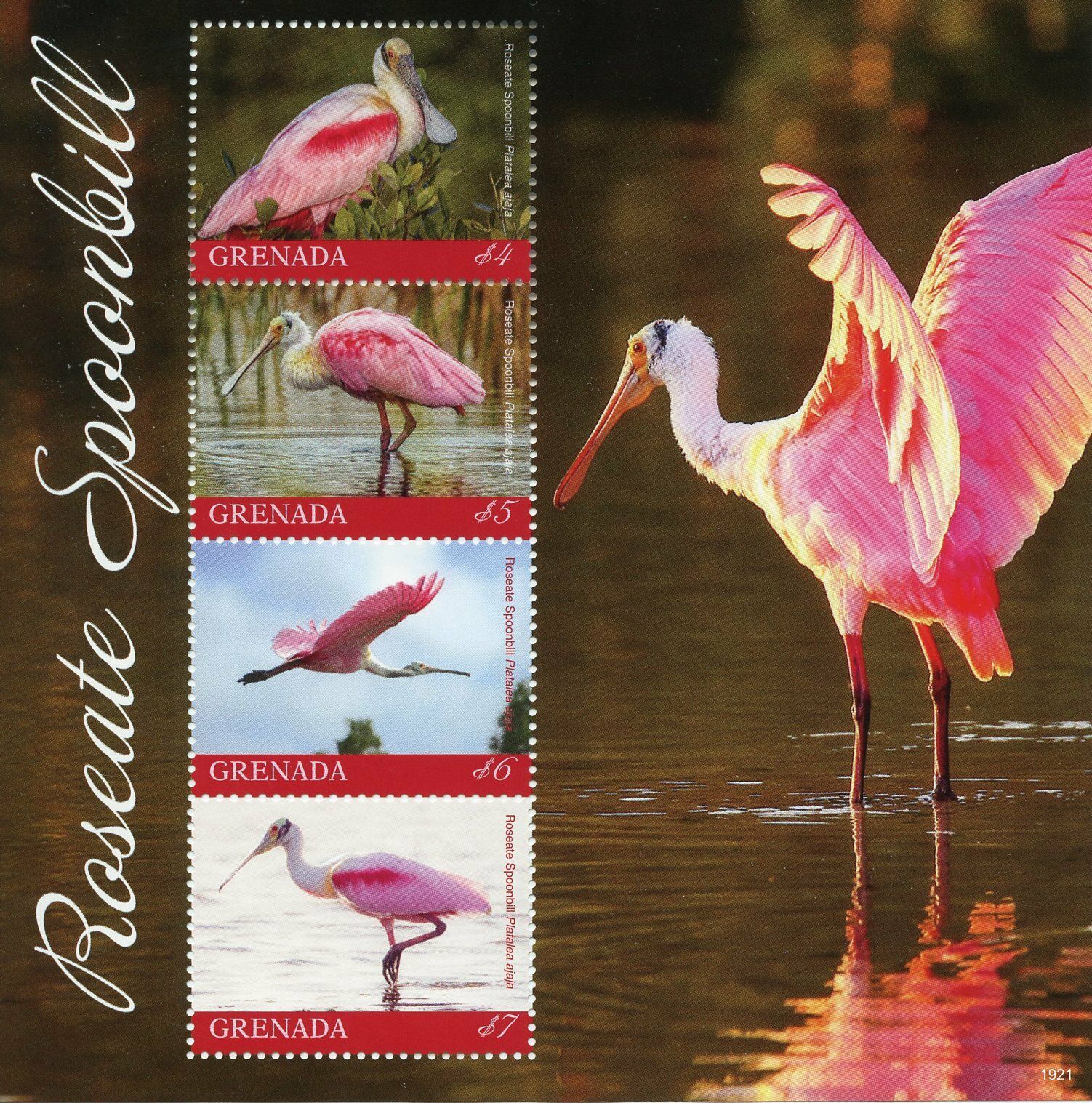 Grenada 2019 MNH Birds on Stamps Roseate Spoonbill Spoonbills 4v M/S