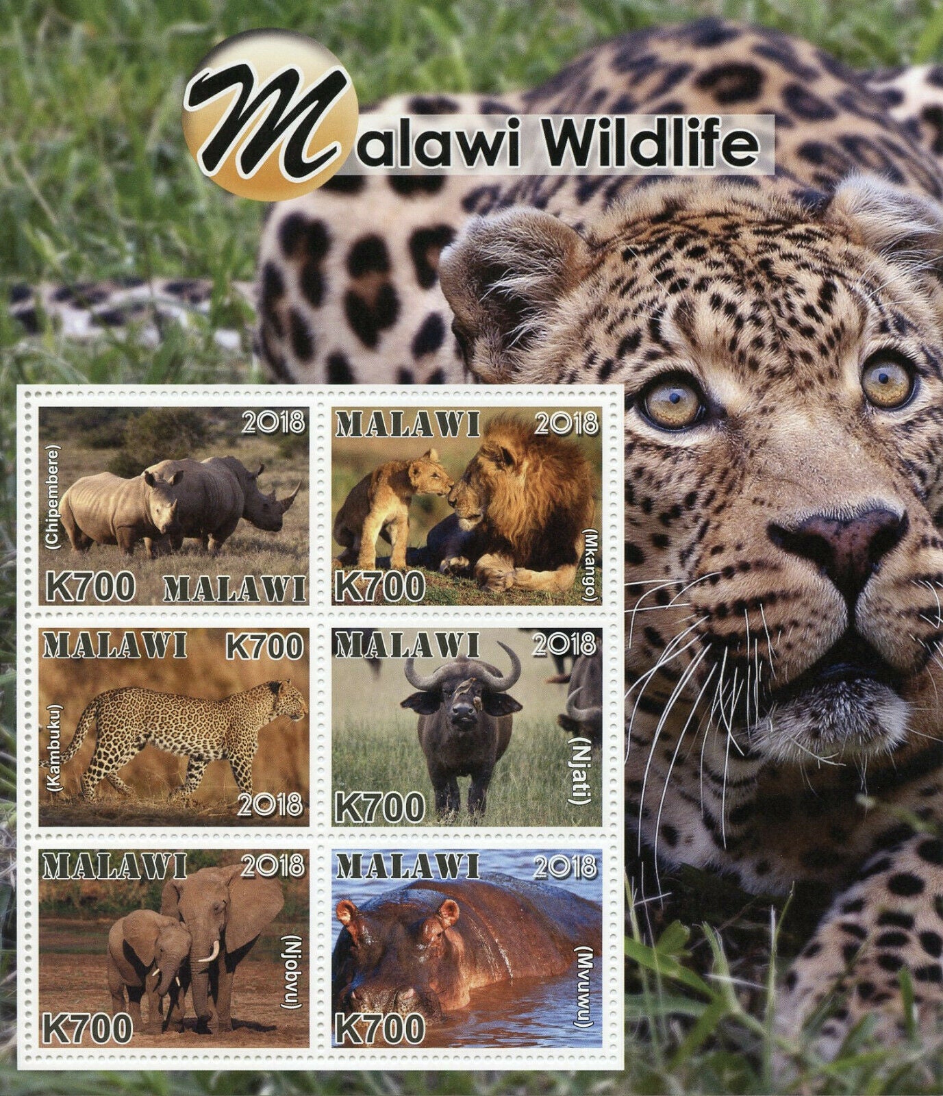 Malawi 2018 MNH Wildlife Rhinos Lions Elephants Hippos 6v M/S Animals Stamps