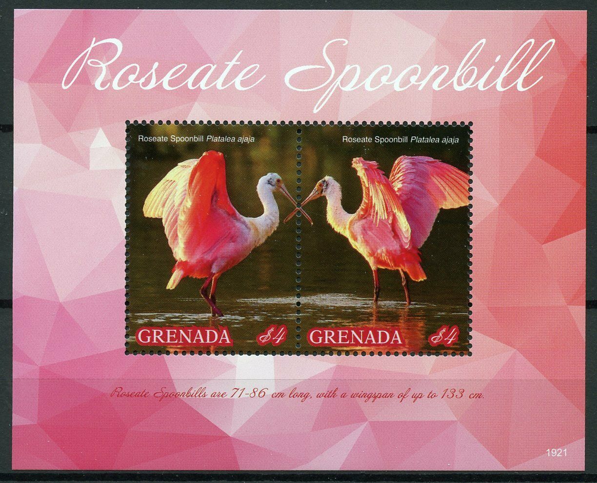 Grenada Stamps 2019 MNH Roseate Spoonbill Birds Spoonbills 2v S/S
