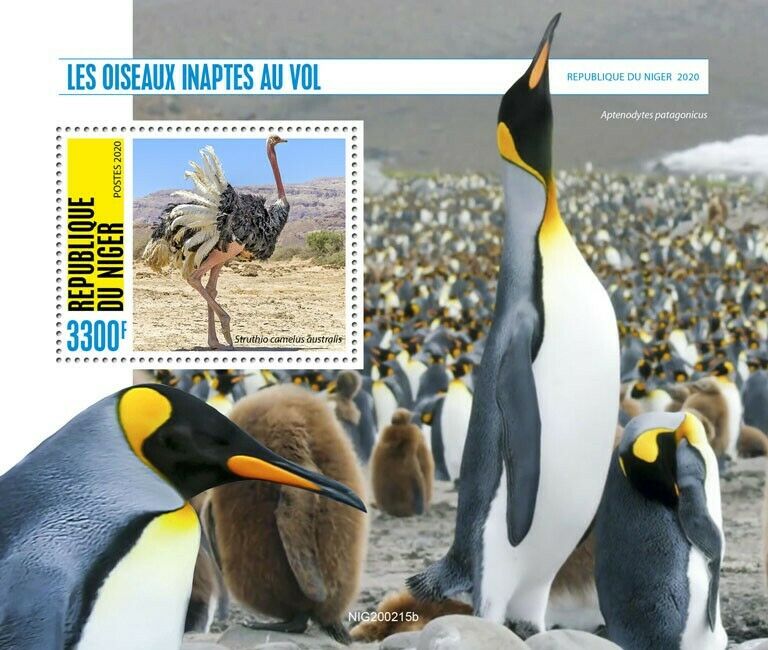 Niger Flightless Birds on Stamps 2020 MNH Ostrich Penguins King Penguin 1v S/S