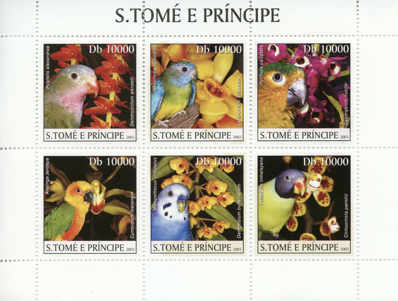 Sao Tome & Principe 2003 MNH Parrots & Orchids 6v M/S Flowers Birds Stamps