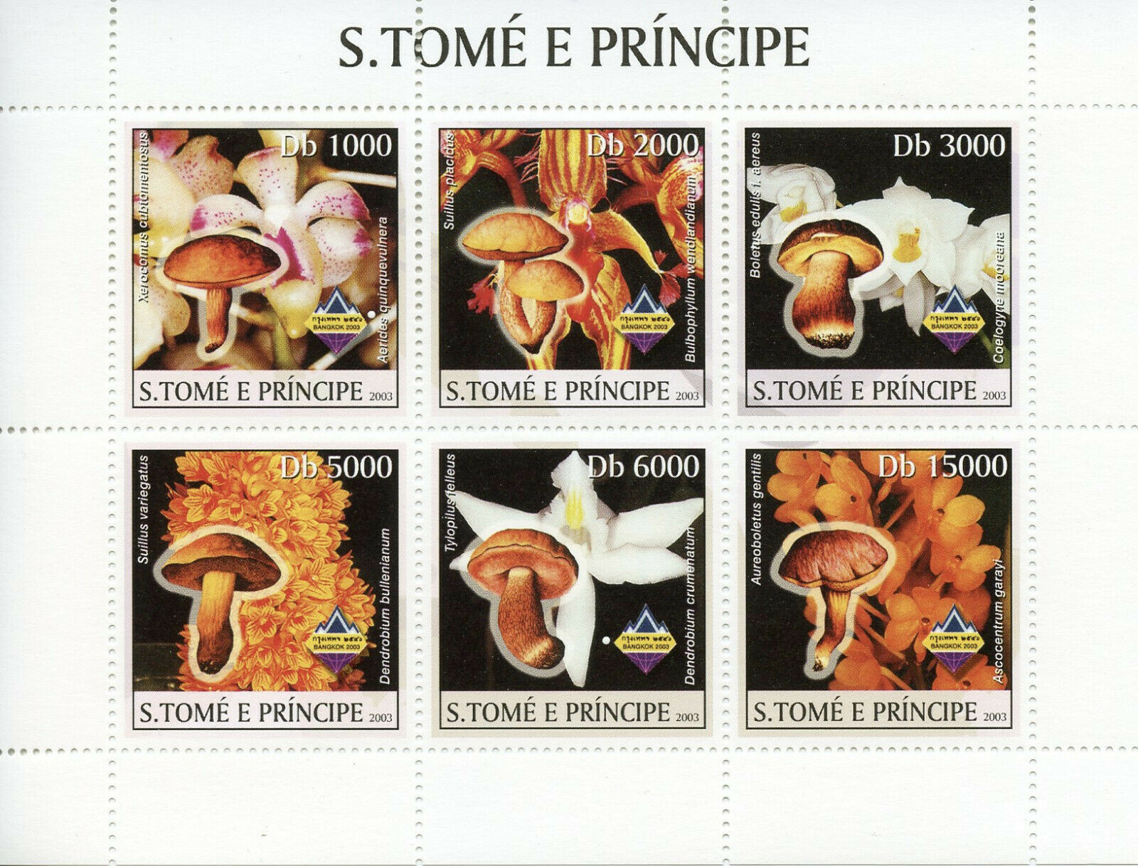 Sao Tome & Principe 2003 MNH Mushrooms & Orchids 6v M/S Fungi Flowers Stamps