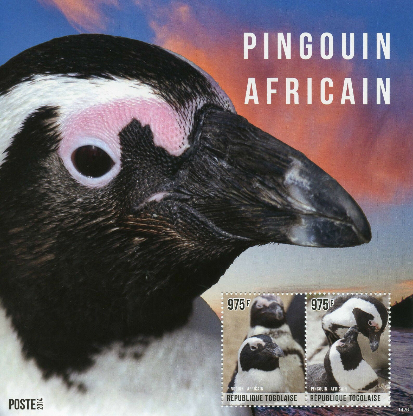 Togo 2014 MNH African Penguin 2v S/S II Birds Pingouin Africain
