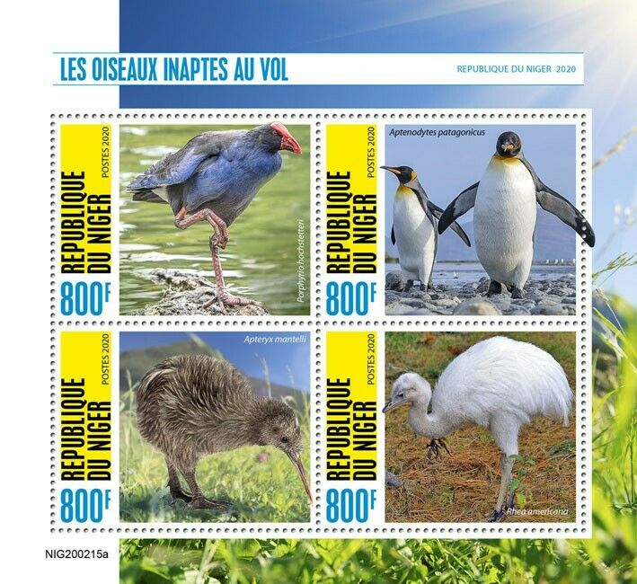 Niger Flightless Birds on Stamps 2020 MNH Penguins Brown Kiwi Rhea 4v M/S