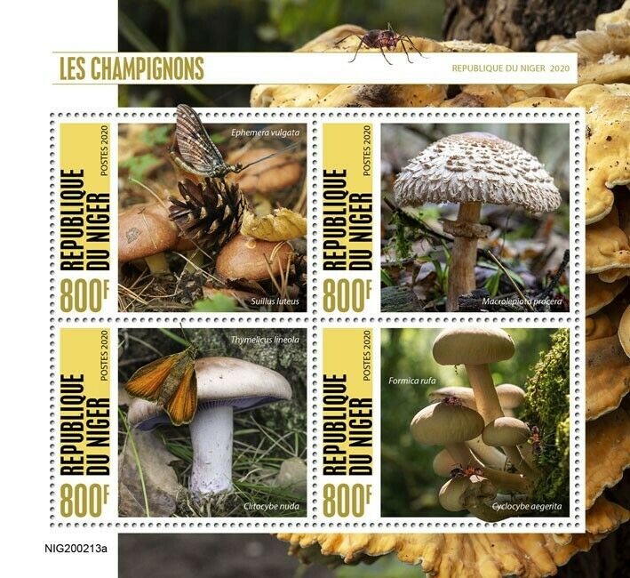 Niger Mushrooms Stamps 2020 MNH Fungi Butterflies Butterfly Nature 4v M/S