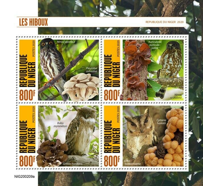 Niger Birds on Stamps 2020 MNH Owls Northern Boobook Mushrooms Fungi 4v M/S