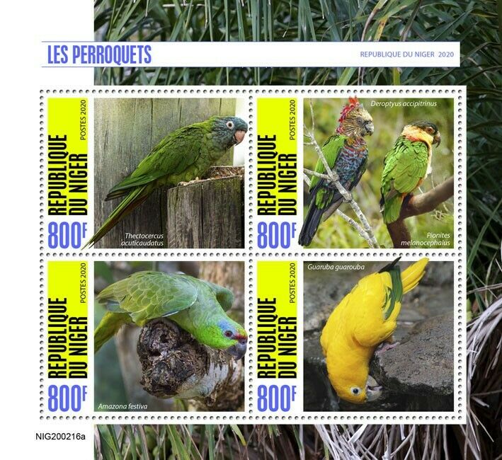 Niger Birds on Stamps 2020 MNH Parrots Golden Parakeets Amazons 4v M/S