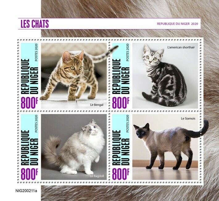 Niger 2020 MNH Cats Stamps Bengal American Shorthair Ragdoll Siamese Cat 4v M/S