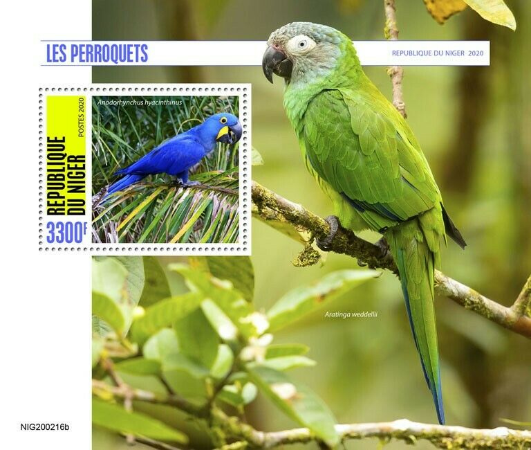 Niger Birds on Stamps 2020 MNH Parrots Macaws Hyacinth Macaw Parakeets 1v S/S
