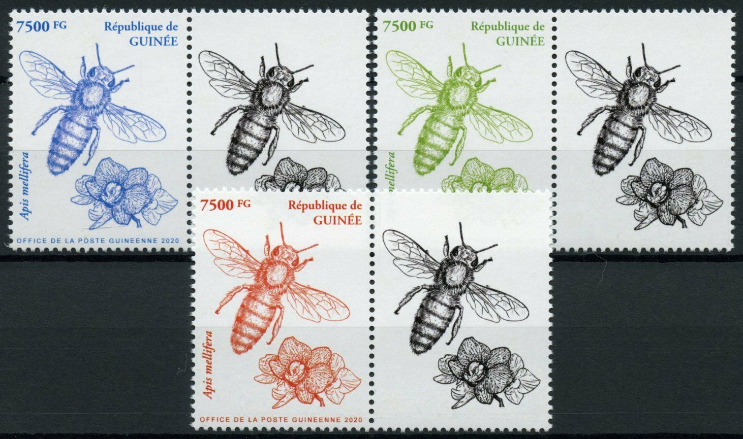 Guinea Bees Stamps 2020 MNH European Honey Bee Insects 3v Set + Label