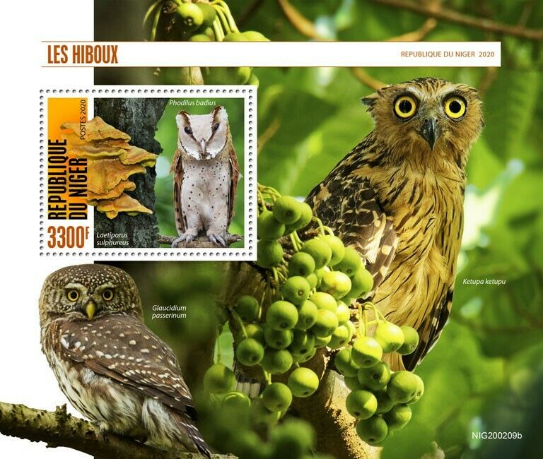 Niger Birds on Stamps 2020 MNH Owls Oriental Bay Owl Mushrooms Fungi 1v S/S