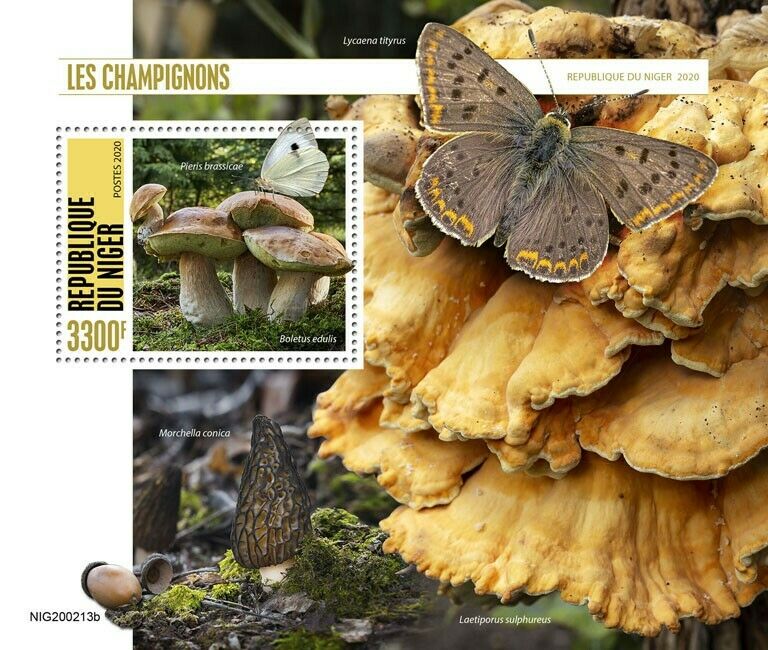 Niger Mushrooms Stamps 2020 MNH Boletus Fungi Butterflies Nature 1v S/S