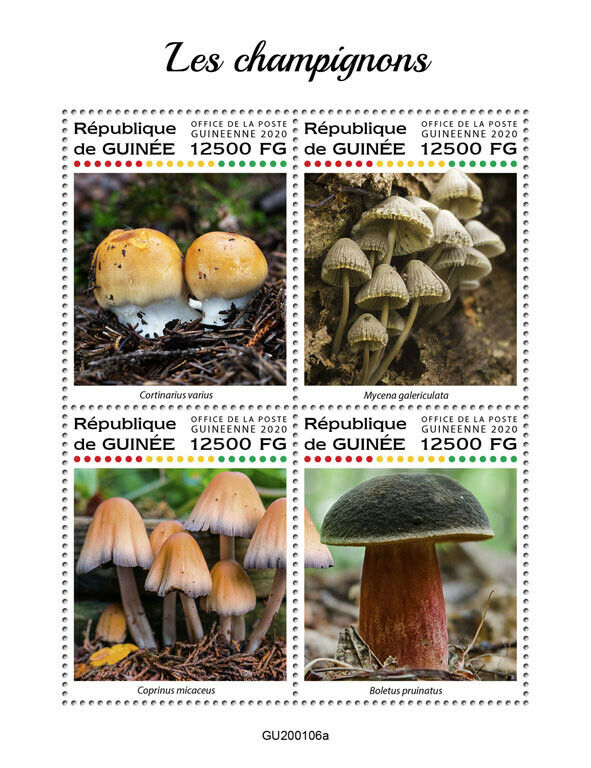 Guinea Mushrooms Stamps 2020 MNH Boletus Mycena Fungi Nature 4v M/S