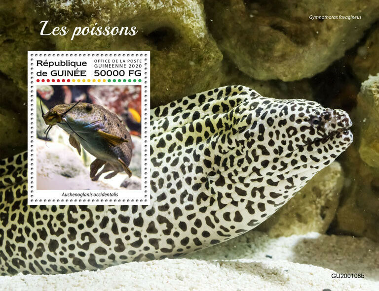 Guinea Fish Stamps 2020 MNH Fishes Giraffe Catfish Honeycomb Moray 1v S/S
