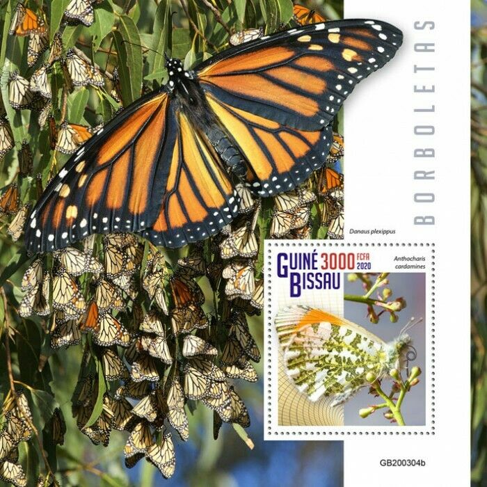 Guinea-Bissau 2020 MNH Butterflies Stamps Orange-Tip Monarch Butterfly 1v S/S