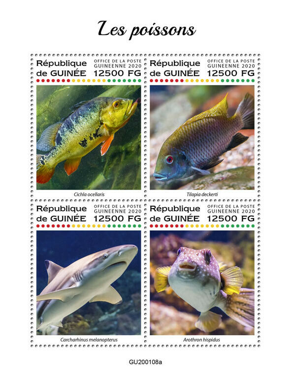 Guinea Fish Stamps 2020 MNH Fishes Sharks Cichlids Puffers Peacock Bass 4v M/S