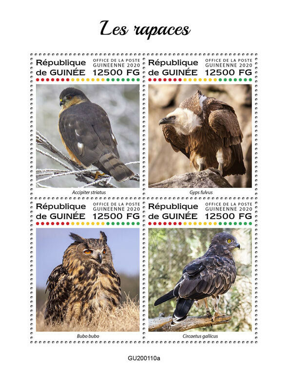 Guinea Birds of Prey on Stamps 2020 MNH Raptors Owls Vultures Hawks 4v M/S