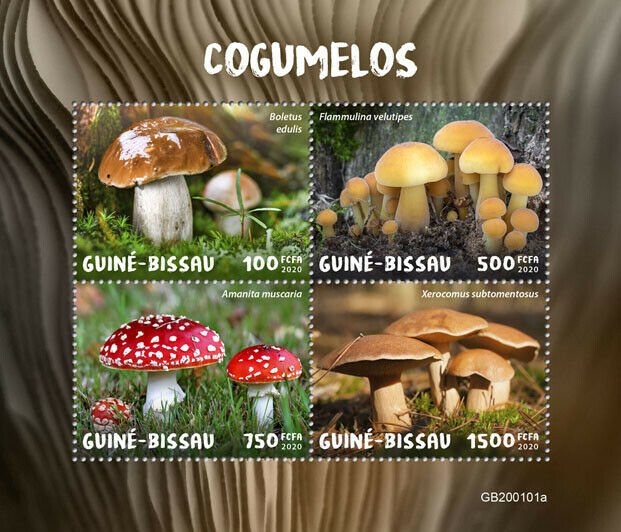 Guinea-Bissau Mushrooms Stamps 2020 MNH Fungi Fly Agaric Boletus 4v M/S