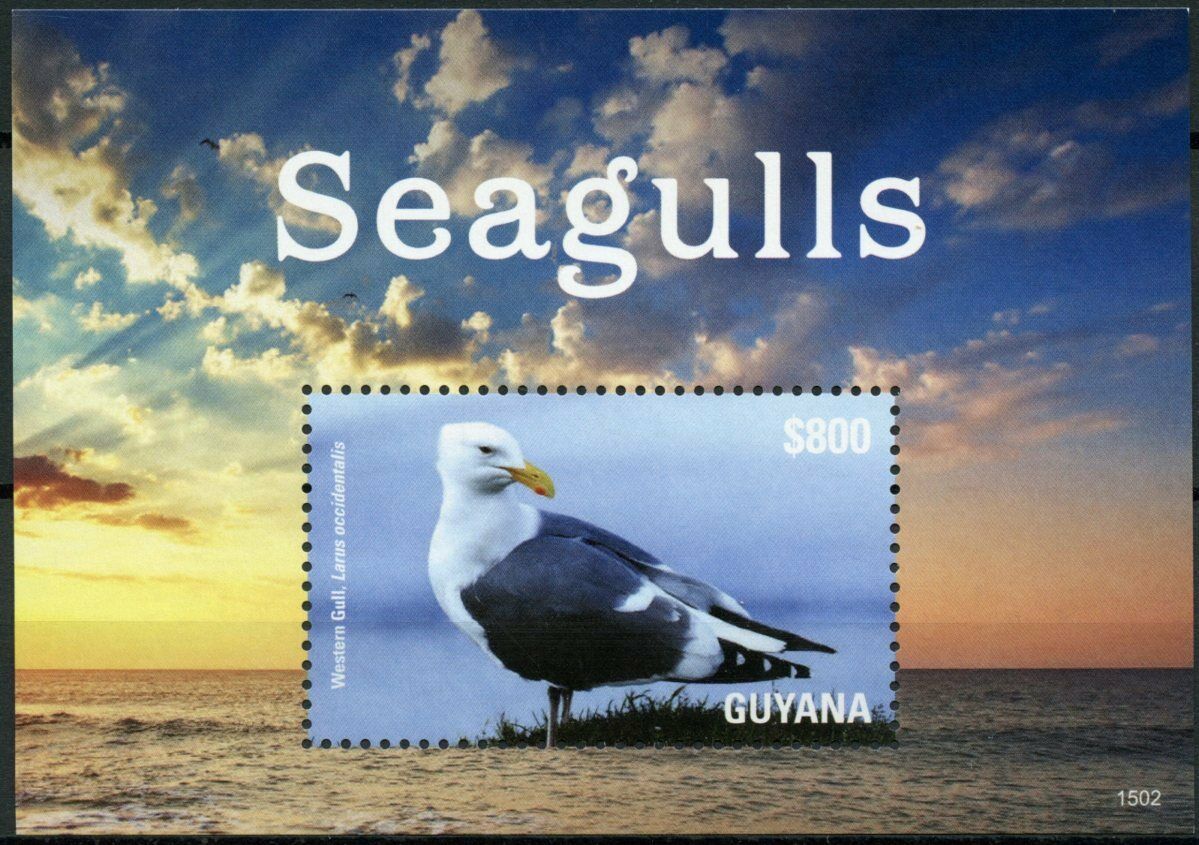 Guyana 2015 MNH Birds on Stamps Seagulls Gulls Western Gull 1v S/S I