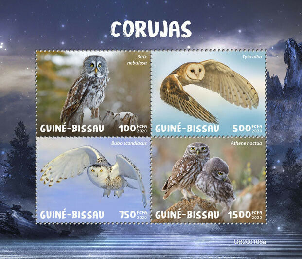 Guinea-Bissau 2020 MNH Birds on Stamps Owls Little Snowy Barn Owl 4v M/S