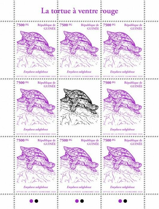 Guinea Turtles Stamps 2020 MNH Red-Bellied Short-Necked Turtle 8v M/S II