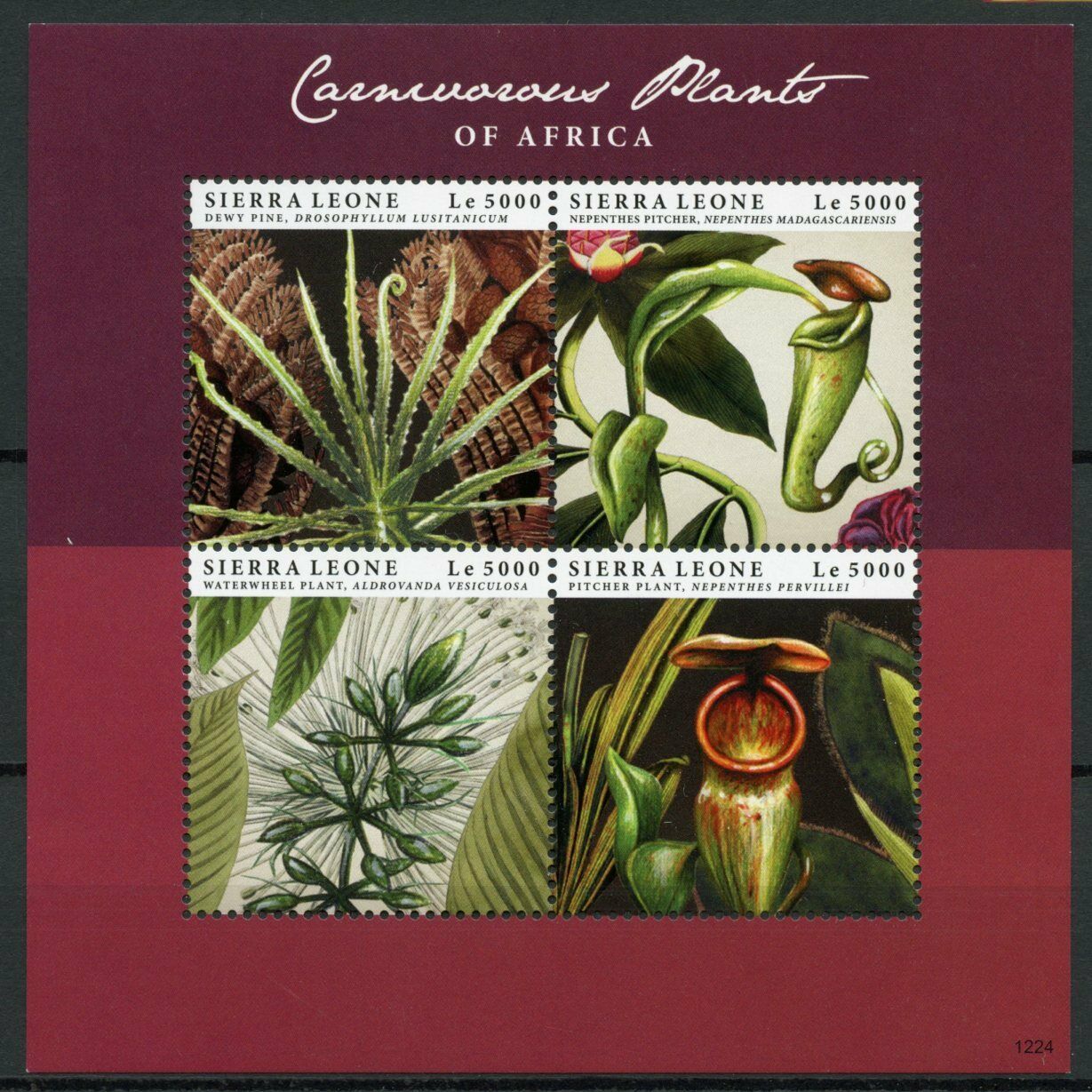 Sierra Leone Stamps 2012 MNH Carnivorous Plants of Africa Dewy Pine 4v M/S