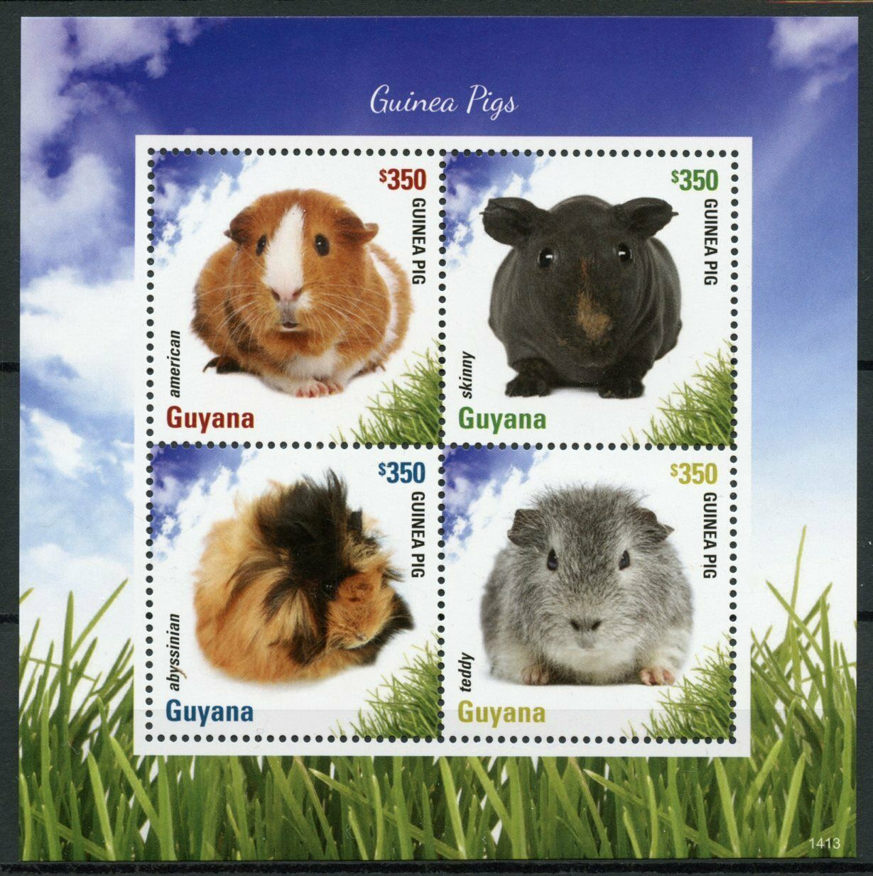 Guyana 2014 MNH Domestic Animals Stamps Guinea Pigs American Abyssinian Skinny Teddy 4v M/S I