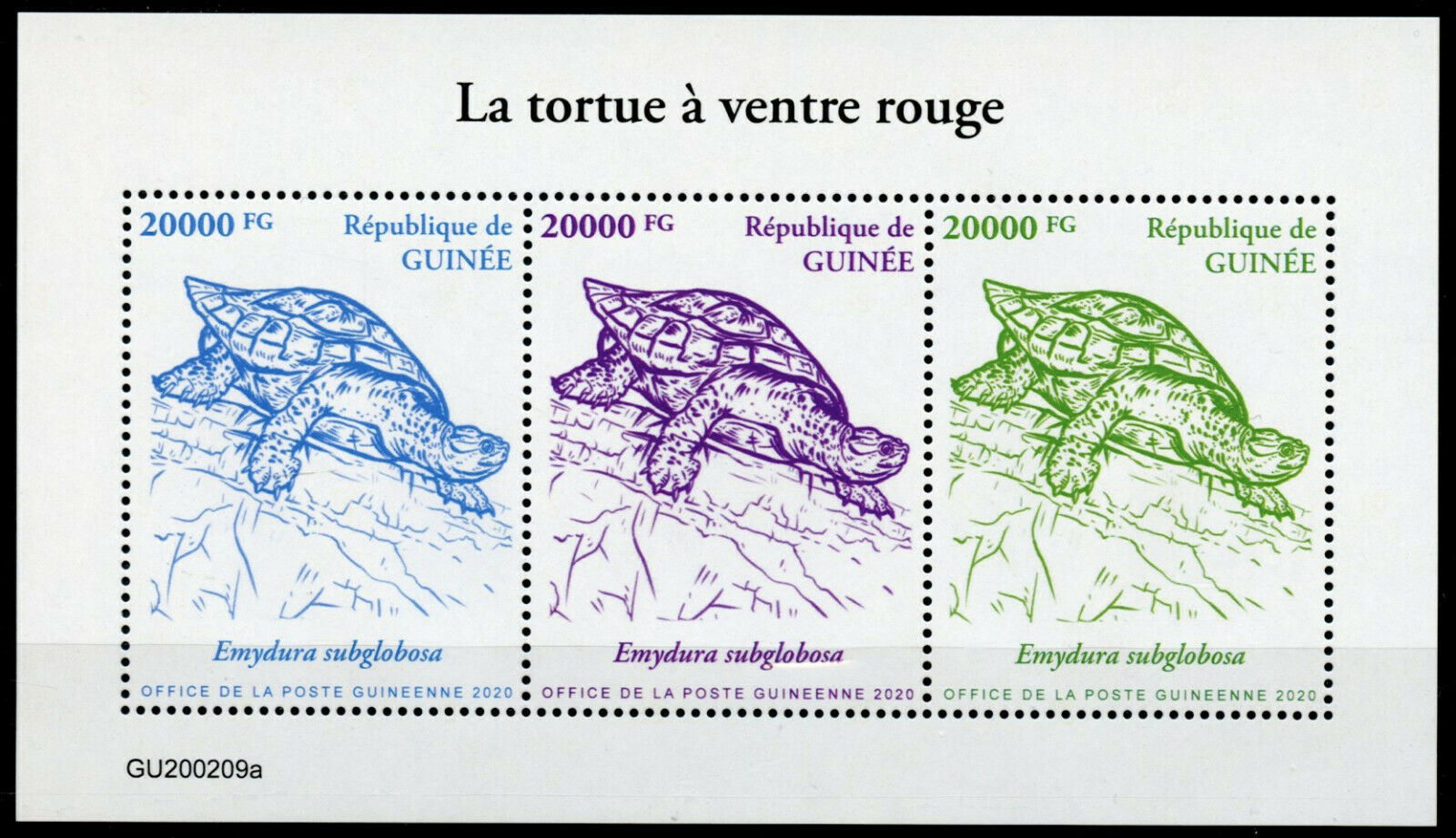 Guinea Turtles Stamps 2020 MNH Red-Bellied Short-Necked Turtle Reptiles 3v M/S
