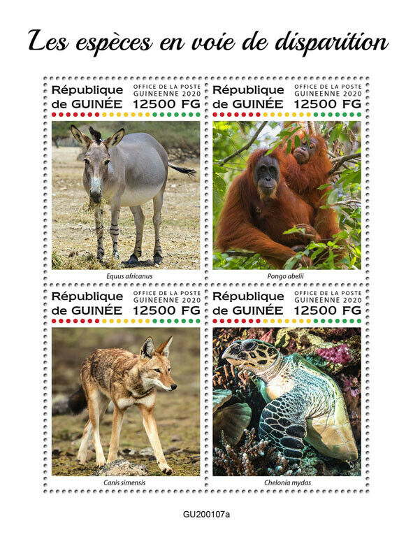 Guinea Endangered Wild Animals Stamps 2020 MNH Wolves Turtles Orangutans 4v M/S