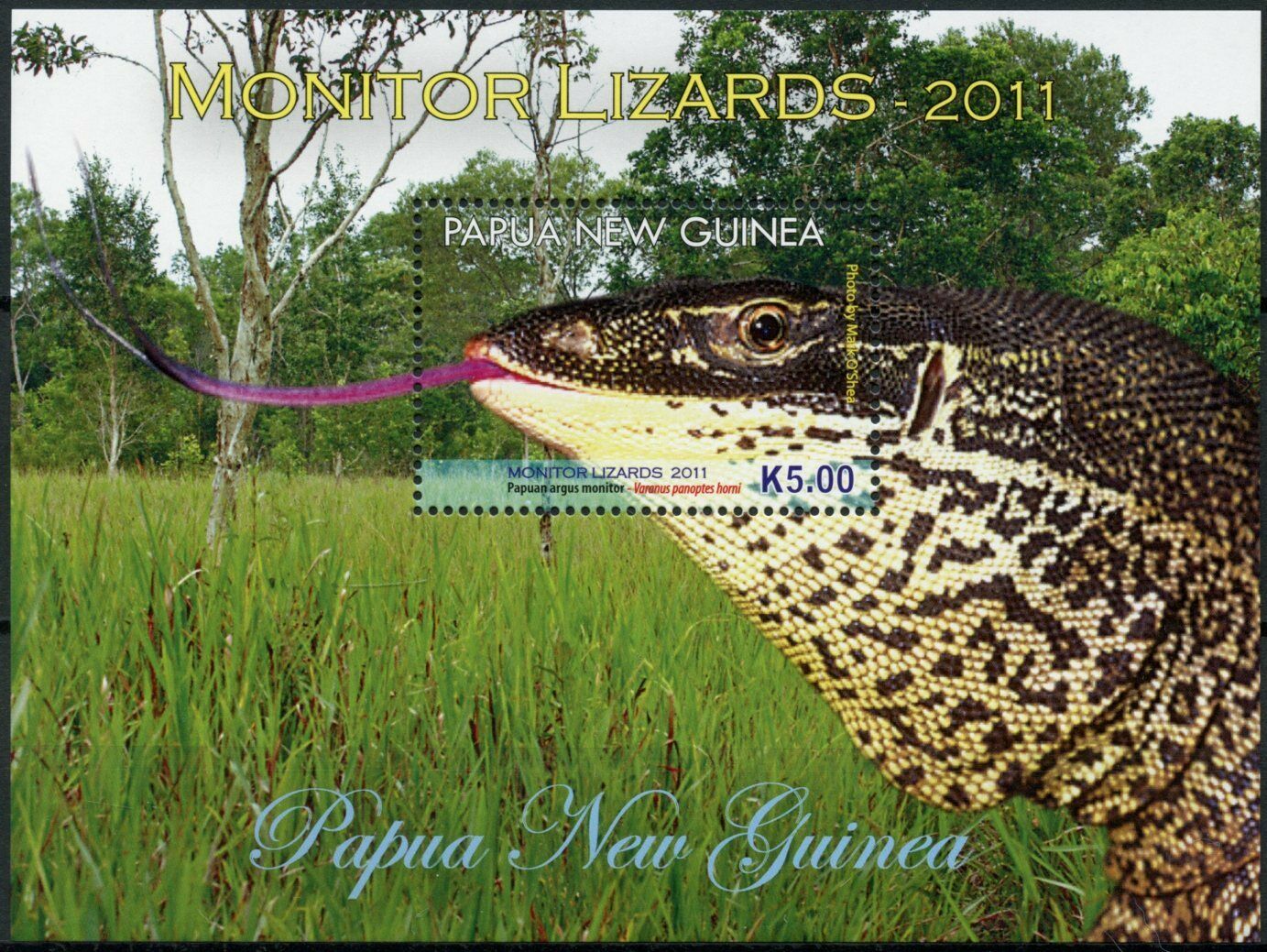 Papua New Guinea PNG Lizards Stamps 2011 MNH Monitor Lizards Reptiles 1v S/S