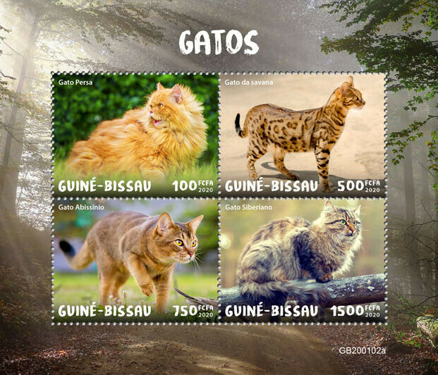 Guinea-Bissau 2020 MNH Cats Stamps Persian Savannah Abyssinian 4v M/S