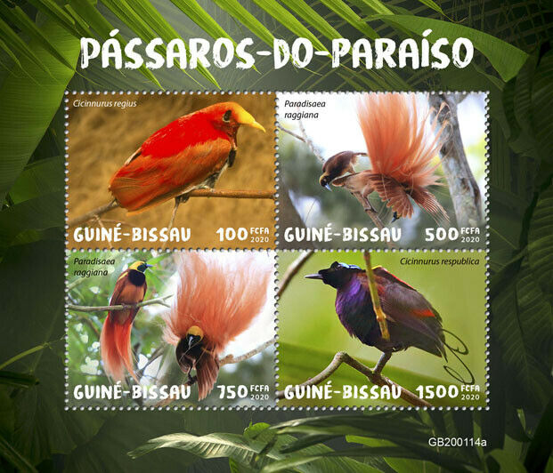 Guinea-Bissau 2020 MNH - Birds of Paradise - Greater Bird of Paradise - 4v M/S