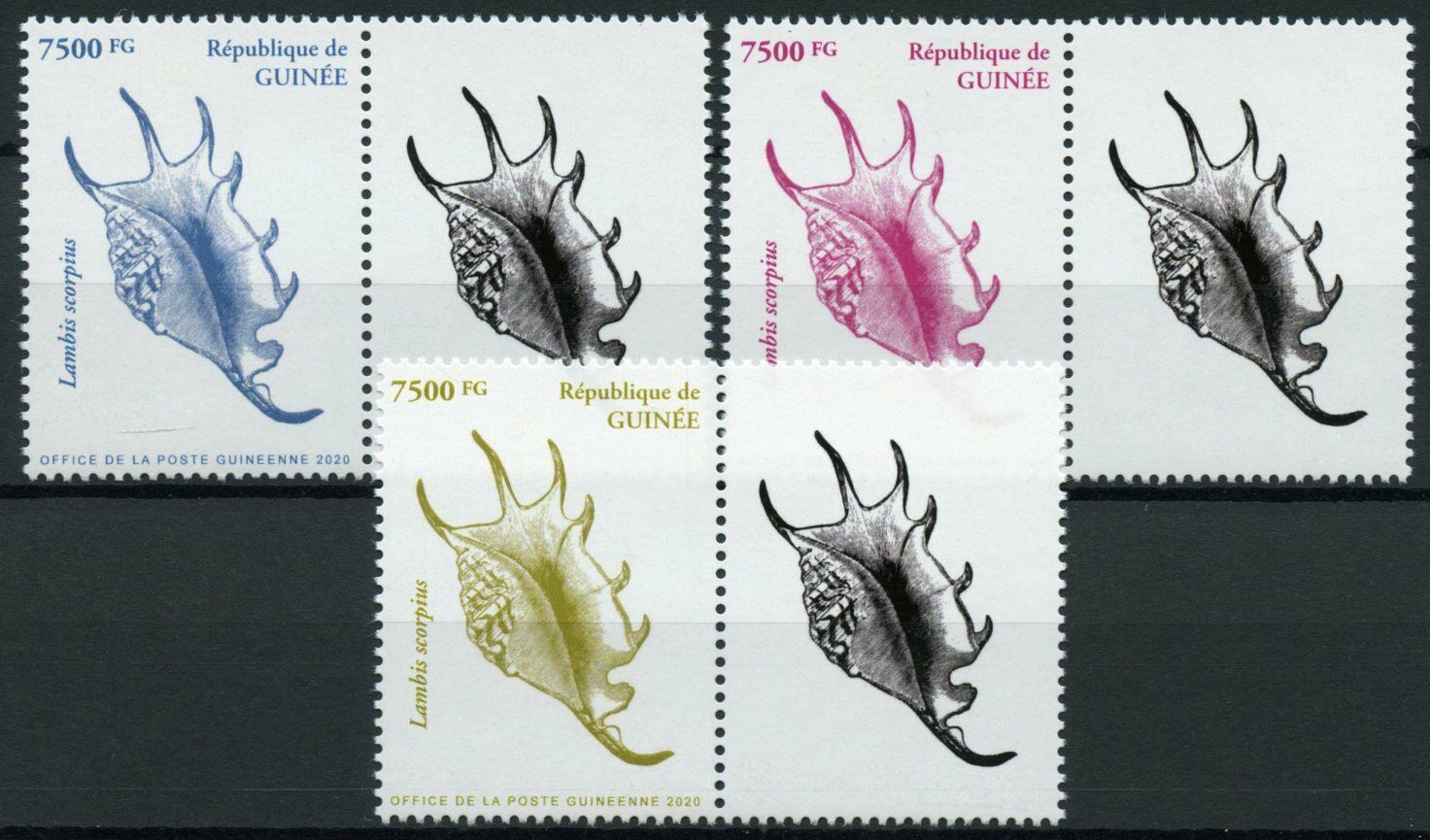 Guinea Seashells Stamps 2020 MNH Sea Shells Scorpion Conch Marine 3v Set + Label