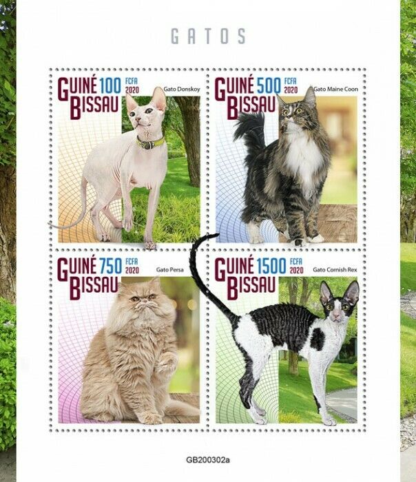 Guinea-Bissau 2020 MNH Cats Stamps Maine Coon Persian Cornish Rex Cat 4v M/S