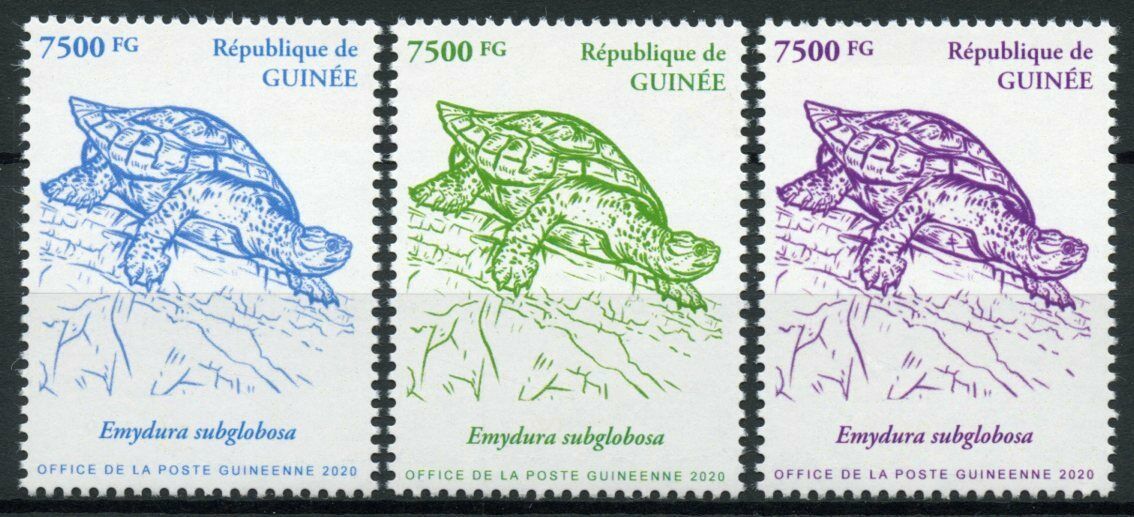 Guinea Turtles Stamps 2020 MNH Red-Bellied Short-Necked Turtle Reptiles 3v Set