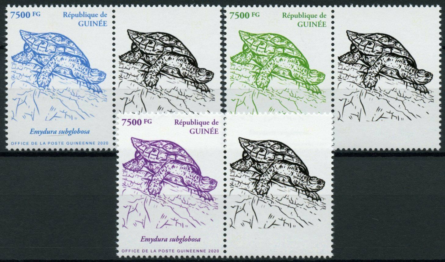 Guinea Turtles Stamps 2020 MNH Red-Bellied Short-Necked Turtle 3v Set + Label