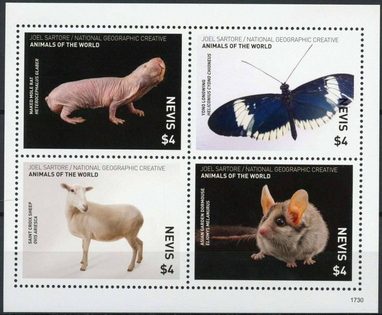 Nevis Wild Animals of World Stamps 2017 MNH Butterflies Sheep Rodents 4v M/S