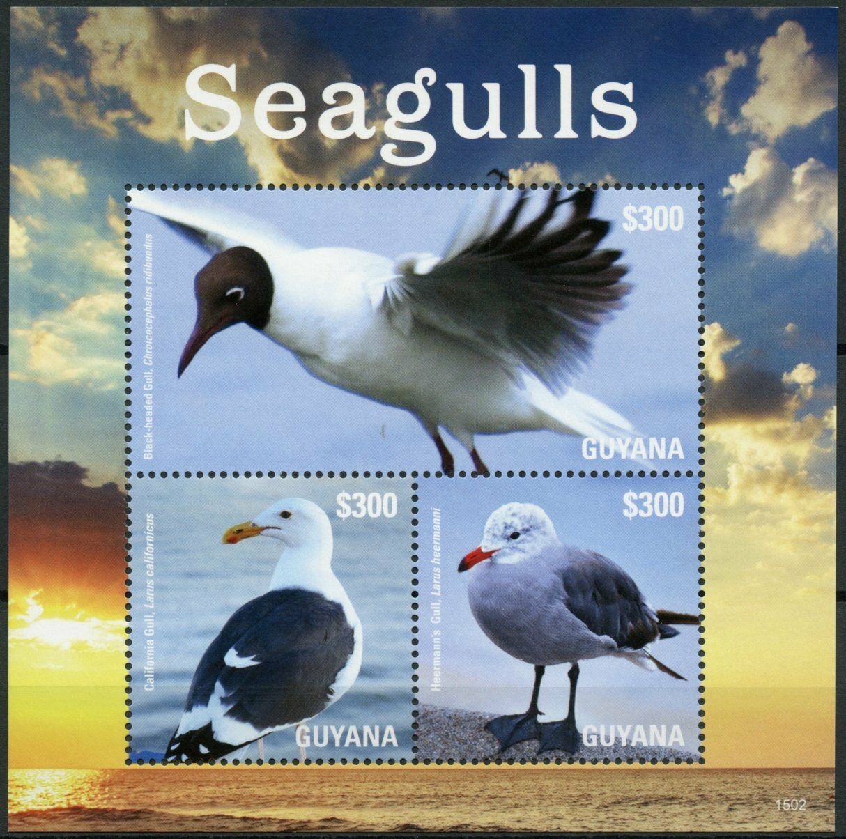 Guyana 2015 MNH Birds on Stamps Seagulls Gulls Black-headed Gull 3v M/S I