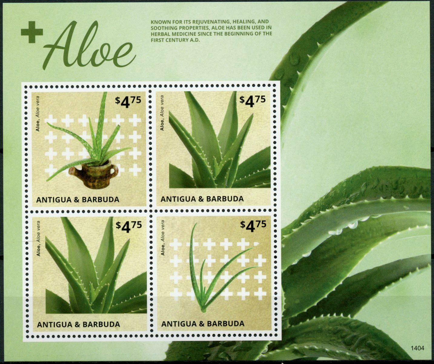 Antigua & Barbuda Plants Stamps 2014 MNH Aloe Vera Aloes 4v M/S II