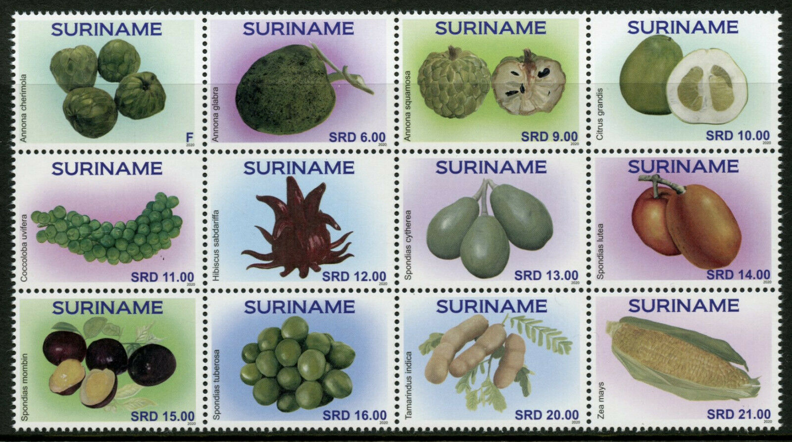 Suriname Fruits Stamps 2020 MNH Fruit Ambarella Pomelo Plants Nature 12v Block